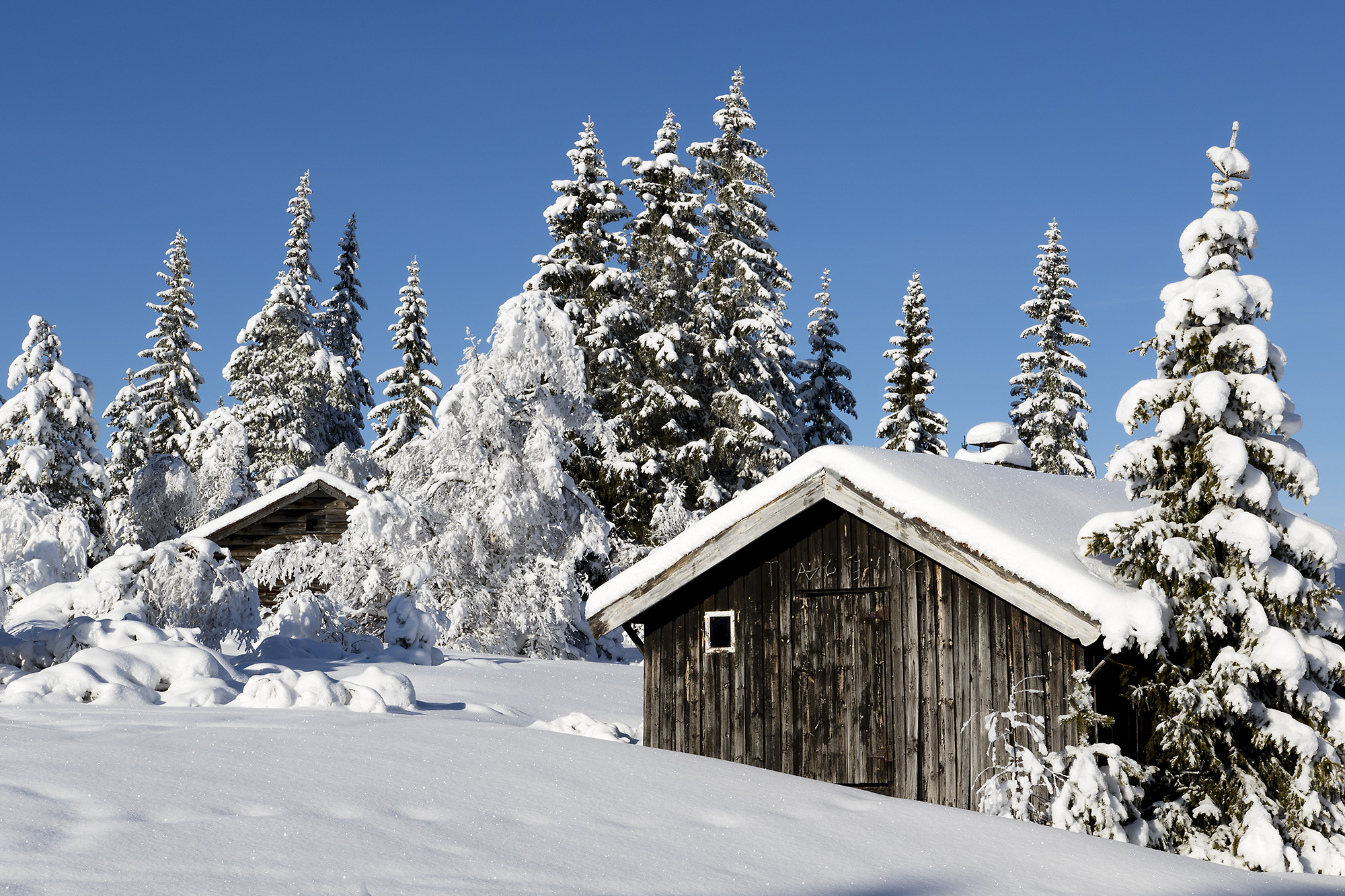 Hytte i vinterlandskap med fjellskog